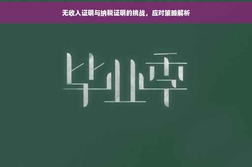无收入证明与纳税证明的挑战，应对策略解析
