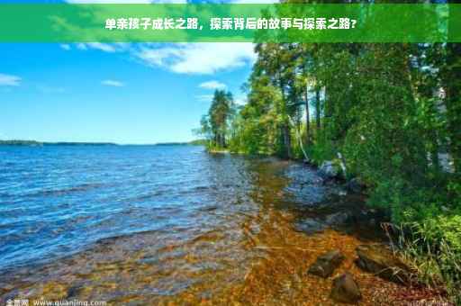 单亲孩子成长之路，探索背后的故事与探索之路?