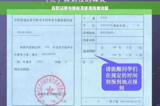 在职证明书模板及使用指南详解
