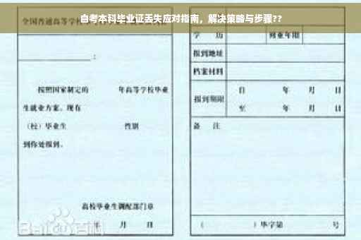 自考本科毕业证丢失应对指南，解决策略与步骤??