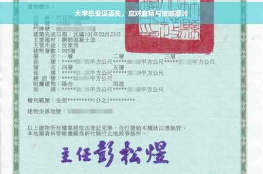 大学毕业证丢失，应对麻烦与策略探讨
