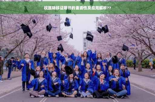 权属转移证明书的重要性及应用解析??