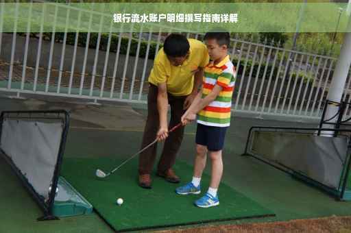 银行流水账户明细撰写指南详解