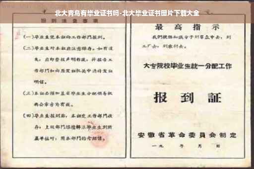 北大青鸟有毕业证书吗-北大毕业证书图片下载大全