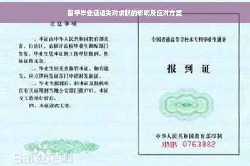 留学毕业证遗失对求职的影响及应对方案