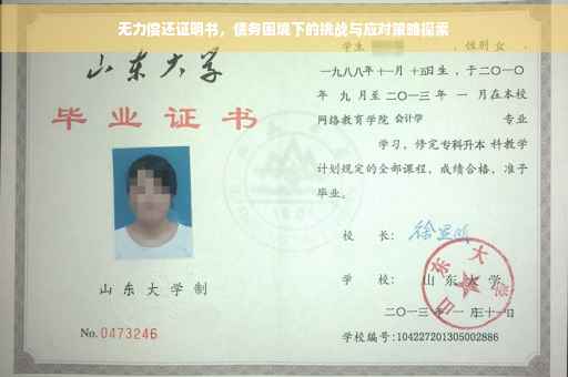 无力偿还证明书，债务困境下的挑战与应对策略探索