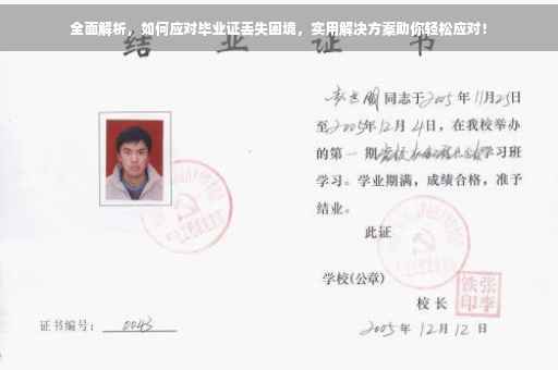 全面解析，如何应对毕业证丢失困境，实用解决方案助你轻松应对！