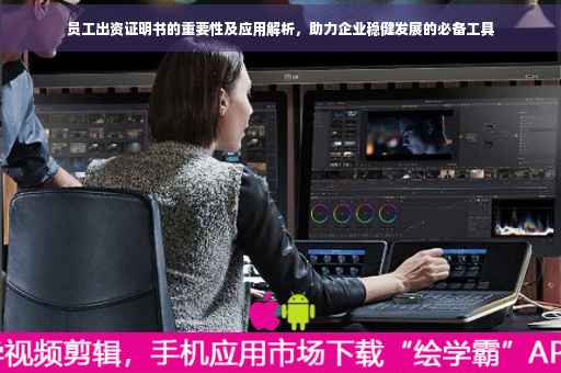 员工出资证明书的重要性及应用解析，助力企业稳健发展的必备工具