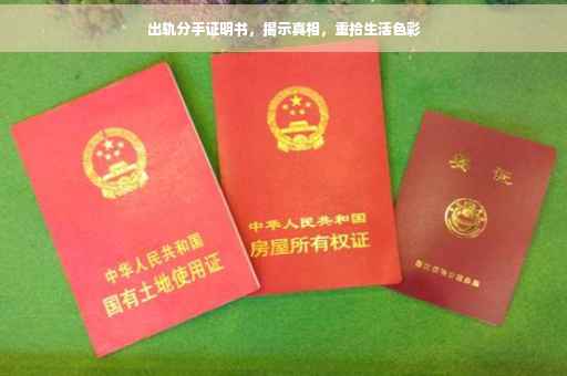 出轨分手证明书，揭示真相，重拾生活色彩