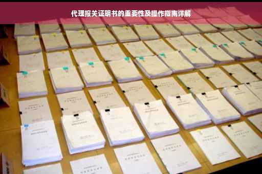 代理报关证明书的重要性及操作指南详解