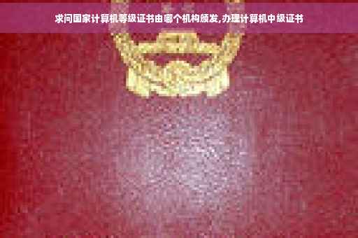 求问国家计算机等级证书由哪个机构颁发,办理计算机中级证书