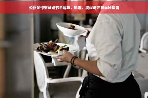 公积金停缴证明书全解析，影响、流程与注意事项指南
