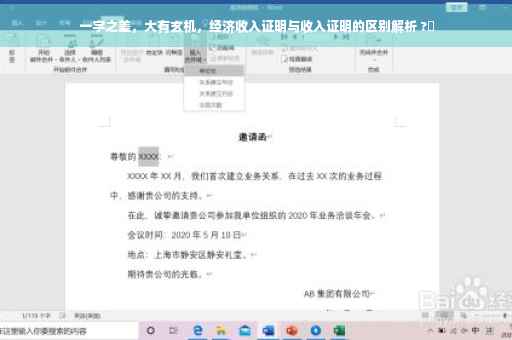 一字之差，大有玄机，经济收入证明与收入证明的区别解析 ?✨