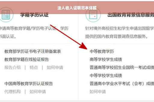 法人收入证明范本详解