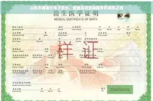 山东农商银行电子流水，便捷高效金融服务的理想之选