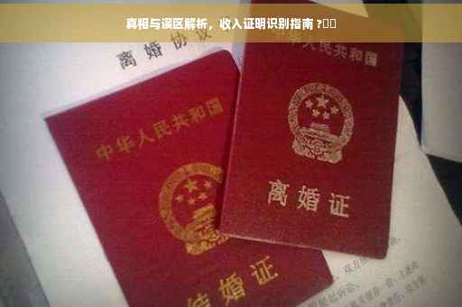 真相与误区解析，收入证明识别指南 ?⚡️