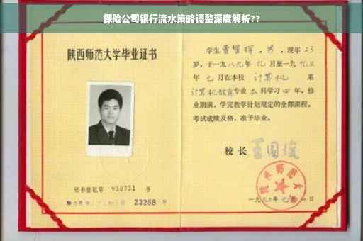 保险公司银行流水策略调整深度解析??