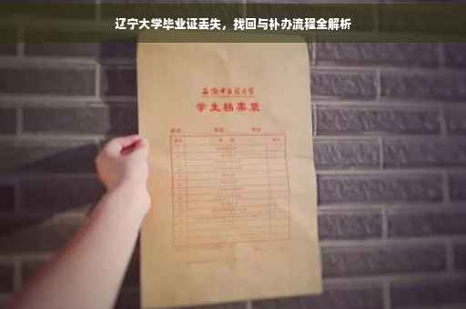 辽宁大学毕业证丢失，找回与补办流程全解析