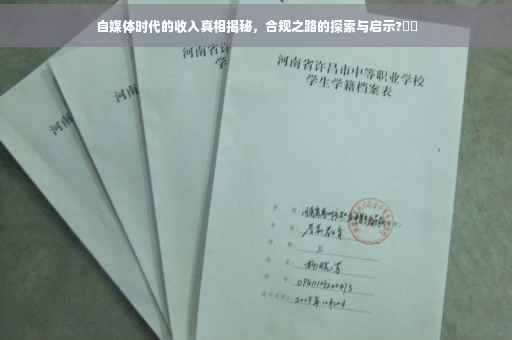自媒体时代的收入真相揭秘，合规之路的探索与启示?⚡️