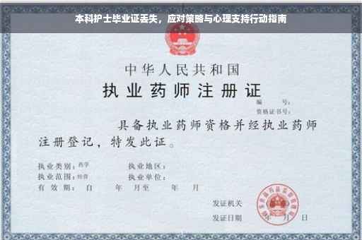 本科护士毕业证丢失，应对策略与心理支持行动指南
