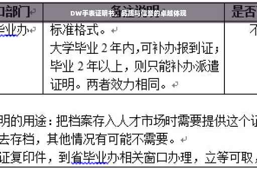 DW手表证明书，品质与信誉的卓越体现