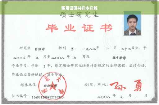 费用证明书样本详解