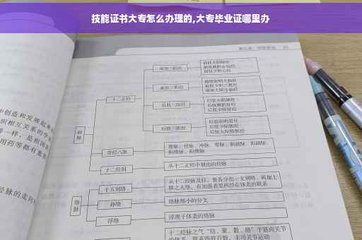 技能证书大专怎么办理的,大专毕业证哪里办
