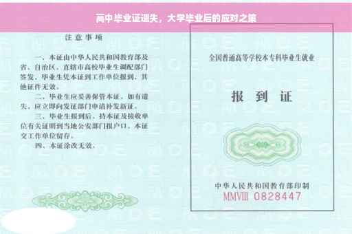 高中毕业证遗失，大学毕业后的应对之策