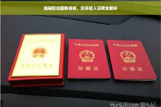 揭秘职场薪酬真相，同事收入证明全解析