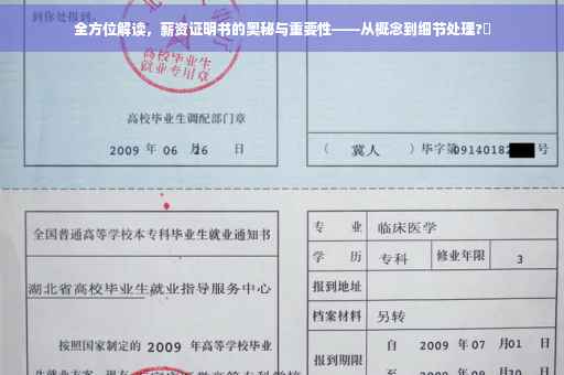 全方位解读，薪资证明书的奥秘与重要性——从概念到细节处理?✨