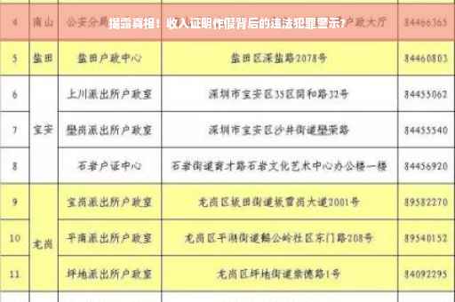 揭露真相！收入证明作假背后的违法犯罪警示?