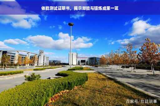 体能测试证明书，揭示潜能与锻炼成果一览