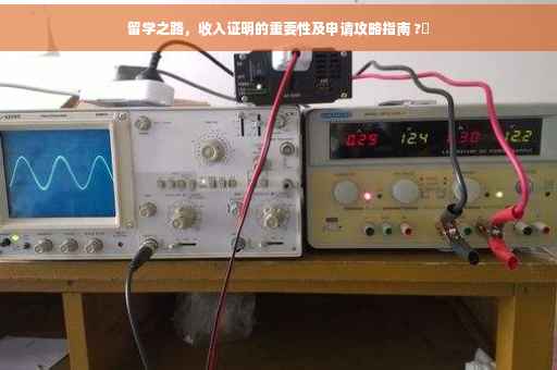 留学之路，收入证明的重要性及申请攻略指南 ?✨