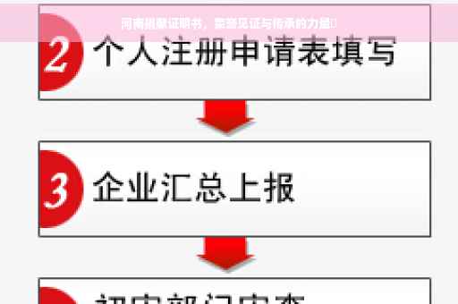 河南捐献证明书，荣誉见证与传承的力量✨
