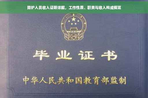 陪护人员收入证明详解，工作性质、职责与收入构成概览