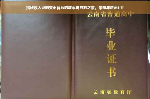揭秘收入证明变更背后的故事与应对之策，策略与启示?⚡️