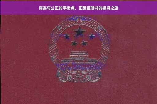 真实与公正的平衡点,正确证明书的探寻之旅 真实与公正的平衡点,正确证明书的探寻之旅