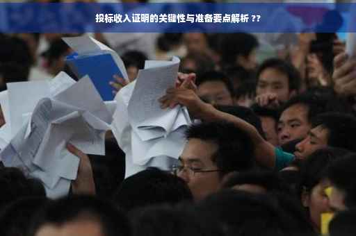 投标收入证明的关键性与准备要点解析 ??