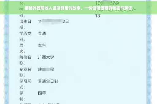 揭秘外管局收入证明背后的故事，一份证明蕴藏的秘密与解读