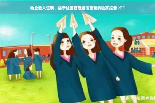物业收入证明，揭示社区管理经济面貌的独家报告 ?⚡️