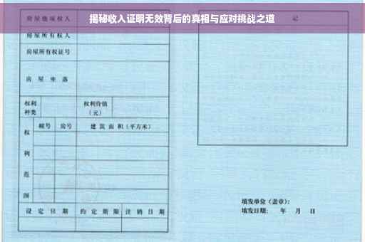 揭秘收入证明无效背后的真相与应对挑战之道