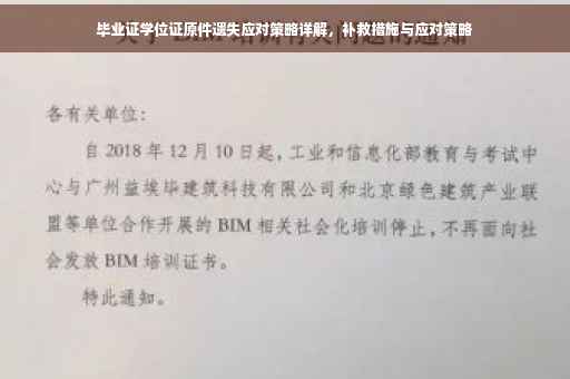 毕业证学位证原件遗失应对策略详解，补救措施与应对策略