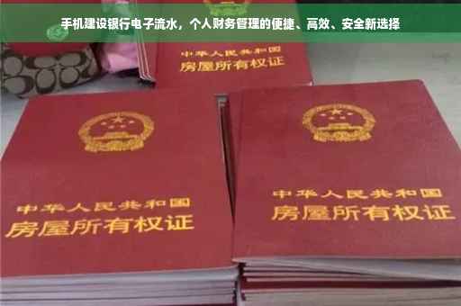 手机建设银行电子流水，个人财务管理的便捷、高效、安全新选择
