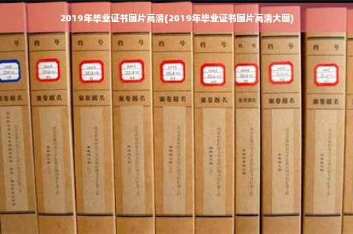 2019年毕业证书图片高清(2019年毕业证书图片高清大图)