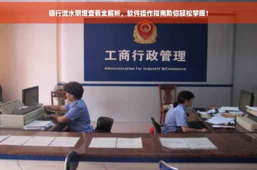 银行流水明细查看全解析，软件操作指南助你轻松掌握！