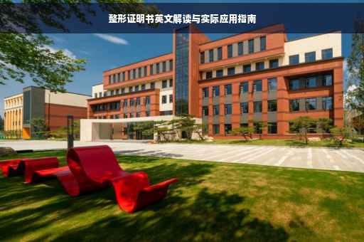 整形证明书英文解读与实际应用指南