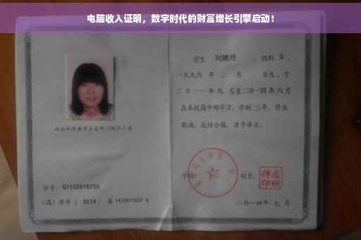 电脑收入证明，数字时代的财富增长引擎启动！