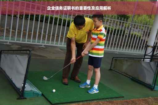 企业债务证明书的重要性及应用解析