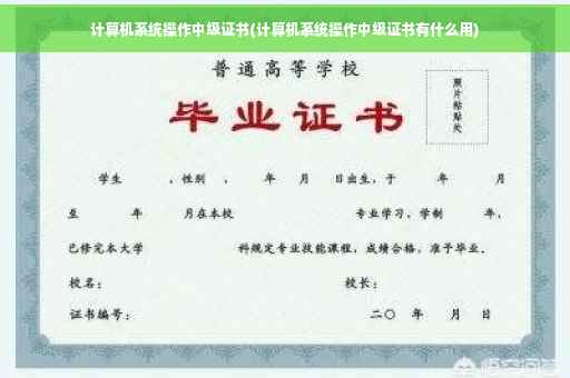 计算机系统操作中级证书(计算机系统操作中级证书有什么用)