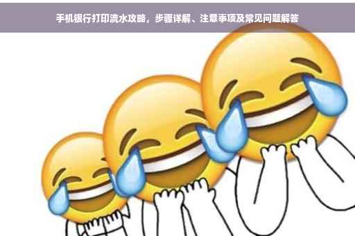 手机银行打印流水攻略，步骤详解、注意事项及常见问题解答